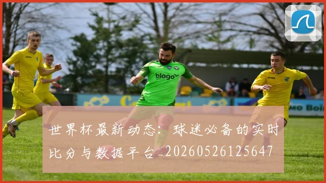世界杯最新动态：球迷必备的实时比分与数据平台_20260526125647